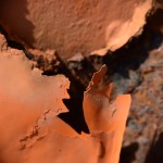 Fot. Małgorzata Kozak