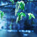 Fot. Arkadiusz Ociepka