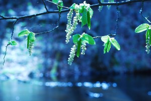 Fot. Arkadiusz Ociepka