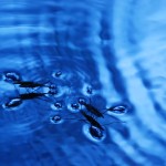 Fot. Arkadiusz Ociepka