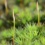 Fot. Małgorzata Kozak