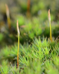 Fot. Małgorzata Kozak