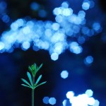 Fot. Arkadiusz Ociepka