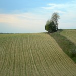 Fot. Małgorzata Kozak