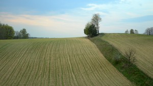 Fot. Małgorzata Kozak