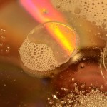 Fot. Małgorzata Kozak