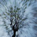 Fot. Arkadiusz Ociepka