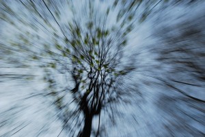 Fot. Arkadiusz Ociepka