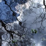 Fot. Małgorzata Kozak