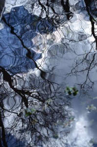 Fot. Małgorzata Kozak