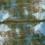 Fot. Małgorzata Kozak