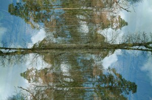 Fot. Małgorzata Kozak