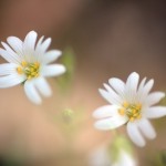 Fot. Małgorzata Kozak