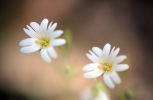 Fot. Małgorzata Kozak