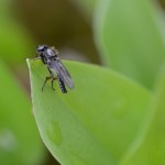 Fot. Małgorzata Kozak