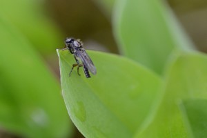 Fot. Małgorzata Kozak