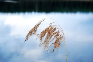 Fot. Arkadiusz Ociepka