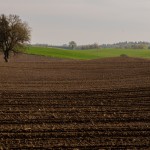 Fot. Wiesława Zabrocka