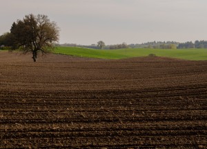 Fot. Wiesława Zabrocka