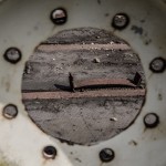 Fot. Wiesława Zabrocka