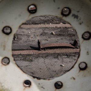 Fot. Wiesława Zabrocka