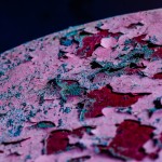 Fot. Wiesława Zabrocka