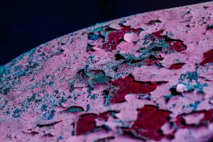 Fot. Wiesława Zabrocka