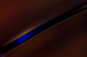 Fot. Wiesława Zabrocka