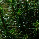 Fot. Wiesława Zabrocka