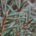 Fot. Wiesława Zabrocka