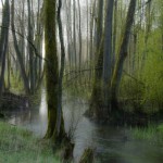 Fot. Wiesława Zabrocka