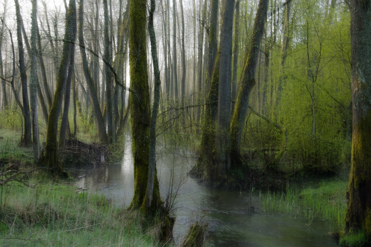 Fot. Wiesława Zabrocka