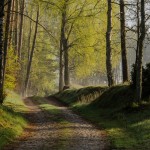 Fot. Wiesława Zabrocka