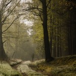 Fot. Wiesława Zabrocka