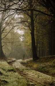 Fot. Wiesława Zabrocka