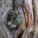 Fot. Małgorzata Kozak