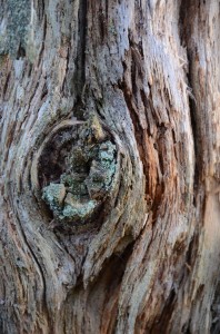 Fot. Małgorzata Kozak