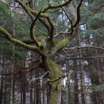 Fot. Małgorzata Kozak