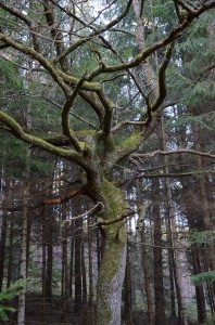 Fot. Małgorzata Kozak