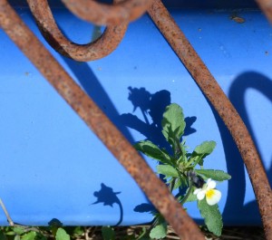 Fot. Małgorzata Kozak