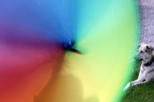 Fot. Halina Baćmaga