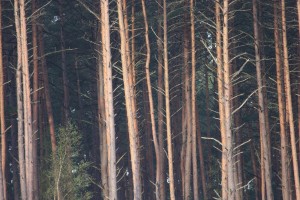 Fot. Halina Baćmaga