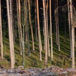 Fot. Halina Baćmaga