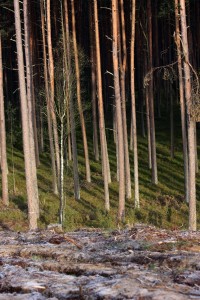 Fot. Halina Baćmaga
