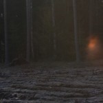 Fot. Halina Baćmaga