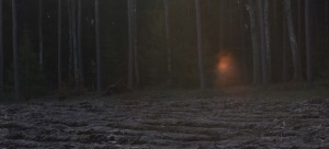 Fot. Halina Baćmaga