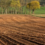 Fot. Halina Baćmaga