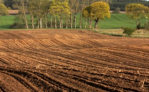 Fot. Halina Baćmaga