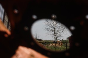 Fot. Halina Baćmaga