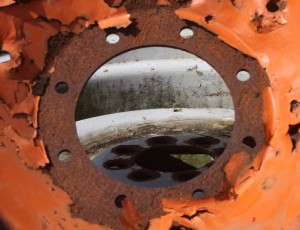 Fot. Halina Baćmaga